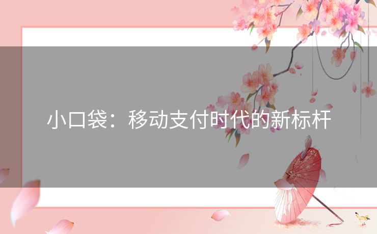 小口袋：移动支付时代的新标杆