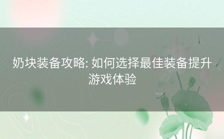 奶块装备攻略: 如何选择最佳装备提升游戏体验