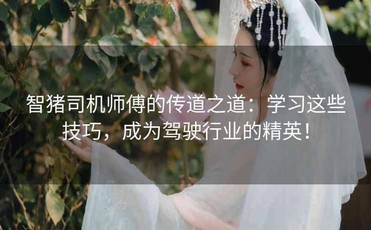 智猪司机师傅的传道之道：学习这些技巧，成为驾驶行业的精英！